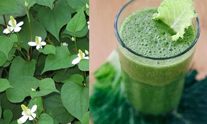 Trị vết thâm ở mặt bằng 5 loại rau quen thuộc