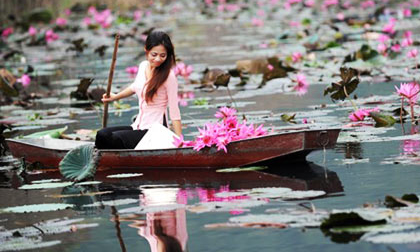 Vãn cảnh chùa Hương mùa hoa Súng