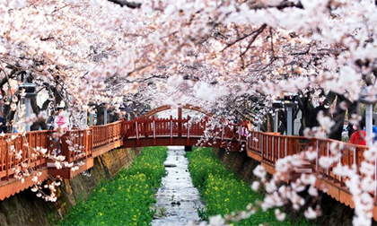 Tuần mới của bạn (17-23/11): Nhân Mã nhận nhiều niềm vui