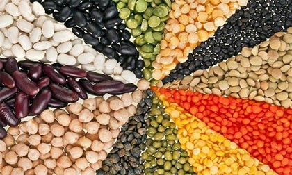 Top 4 loại hạt là thần dược sức khỏe bạn nên ăn mỗi ngày