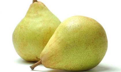 Ăn trái lê rất tốt cho sức khỏe