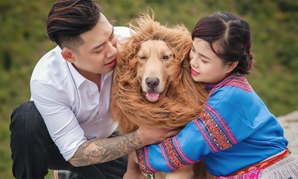 Cặp đôi chụp ảnh cưới với chó đội lốt sư tử