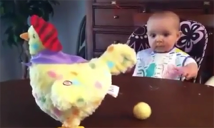 Bé thích thú xem gà đẻ trứng