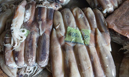 Cảnh sát chặn nửa tấn mực bẩn sắp vào nhà hàng