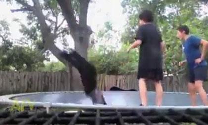 Những tai nạn 'không đỡ nổi' với bạt nhún