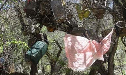 Kinh hãi chứng kiến tục mai táng người chết… trên cây 