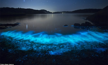 Mãn nhãn với bờ biển phát sáng vô cùng ảo diệu ở Thụy Điển