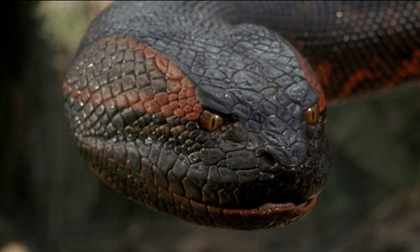 4 bộ phim về loài rắn làm khán giả thót tim