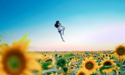 Thiếu nữ 'bay' giữa cánh đồng hoa hướng dương xứ Nghệ