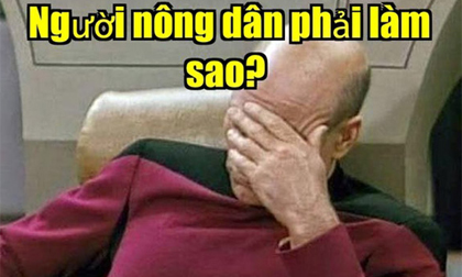 9 câu nói kinh điển nhất cộng đồng mạng 2014