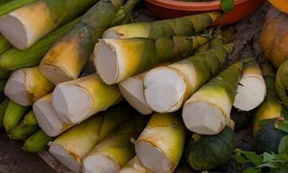 Ăn măng tươi coi chừng... chết tươi