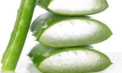 7 mặt nạ chăm sóc đặc trị cho mái tóc nhiều gàu