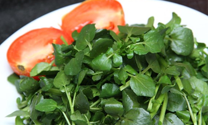 Những công dụng chữa bệnh kỳ diệu của cải xoong