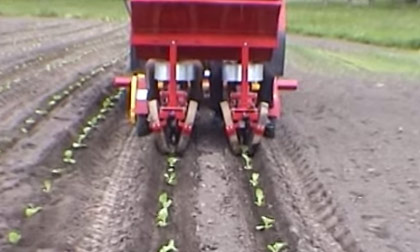 Máy trồng rau ở nước ngoài