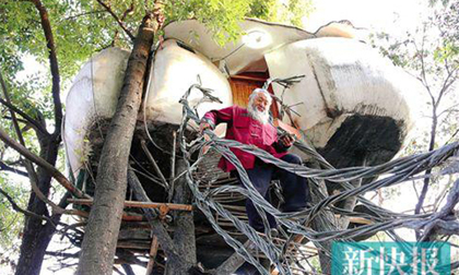 Độc đáo: Ngôi nhà trên cây của cụ ông 60 tuổi