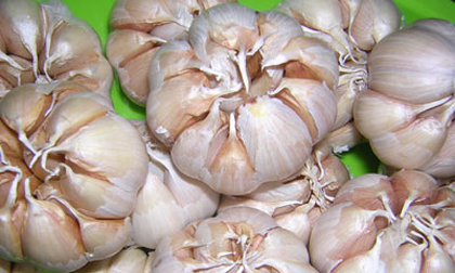 3 sai lầm nghiêm trọng khi dùng tỏi