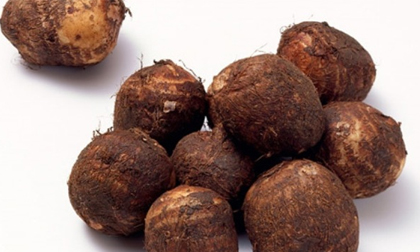 Lợi ích chữa bệnh tuyệt vời từ khoai sọ