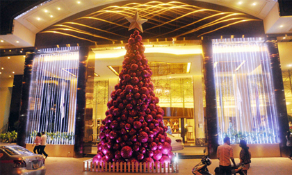 Ngắm những cây thông “khủng” nhất mùa Giáng sinh 2014