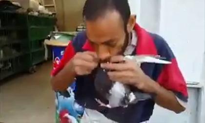 Chàng trai 'mớm' cho chim ăn