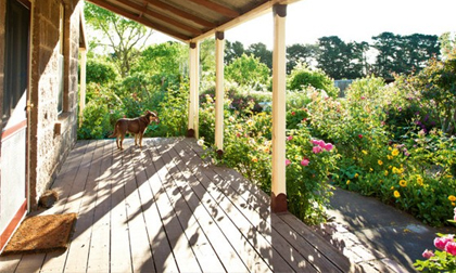 Ngắm ngôi nhà có khu vườn đầy nắng gió và hoa