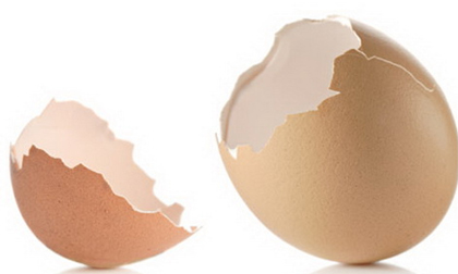 Vỏ trứng gà có công dụng chữa bách bệnh