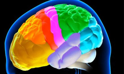 Phát hiện mới về quá trình lão hóa của não bộ