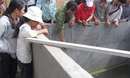 Hai học sinh lớp 4 chết đuối trong bể chứa nước nhà hàng xóm