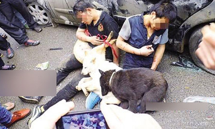 Mạng người, mạng chó và câu chuyện 'tự xử'