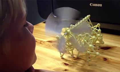 Chiếc chong chóng 'ảo diệu'