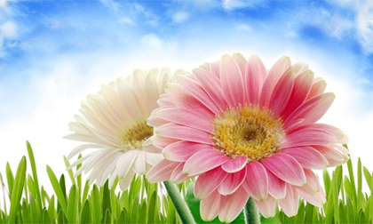 Tử vi cung hoàng đạo thứ tư của bạn (31/12/2014)