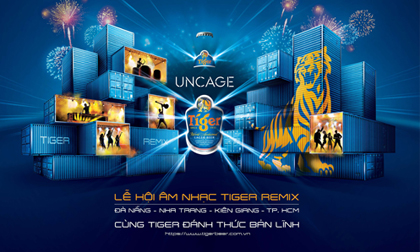 Chờ đón chuỗi lễ hội âm nhạc Tiger remix 2015