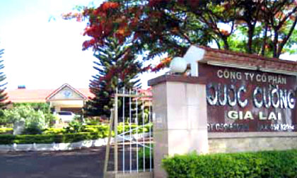 Mẹ con Hồ Ngọc Hà trắng tay tại Quốc Cường Gia Lai