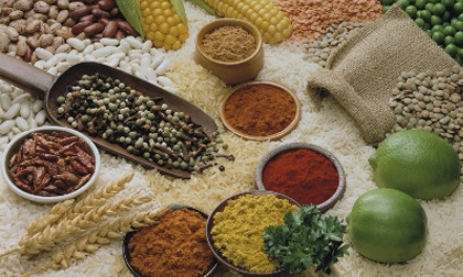 6 loại thực phẩm giúp tăng cường trí nhớ và sự tập trung