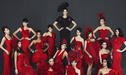 Gala nhạc Việt lên ngôi dịp Tết