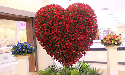 Trái tim hoa hồng cao 2,5 mét mừng lễ tình nhân ở Sài Gòn