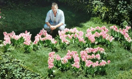 Tuyệt tác quảng cáo mùa Valentine lan truyền chóng mặt trên internet