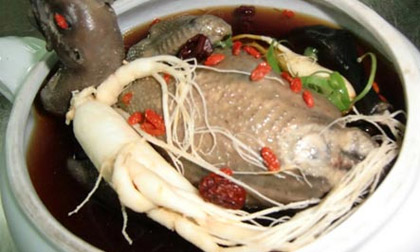 Gà ác: Thuốc quý cho chị em 