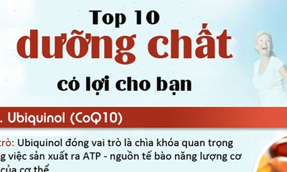 Top 10 dưỡng chất có lợi cho cơ thể của bạn