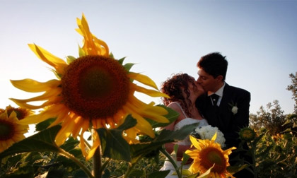 Hạnh phúc là gì mà khiến em bao lần lúng túng?