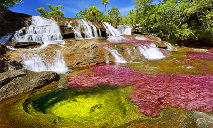 Cảnh thần tiên nơi dòng sông ngũ sắc