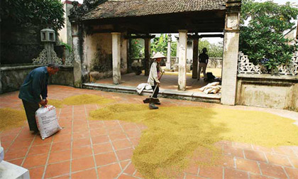 Một làng cổ Cự Đà bên dòng sông Nhuệ