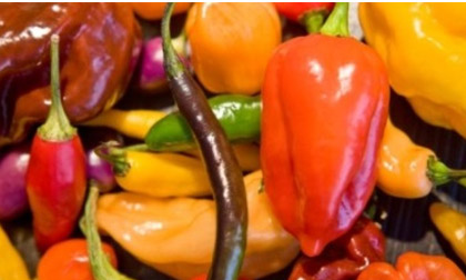 Cảnh giác với những thực phẩm làm "teo" vòng một của chị em