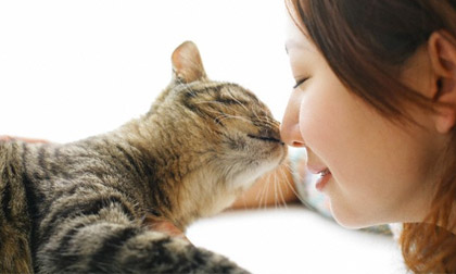 Choáng với các chàng và nàng cuồng chó mèo nơi công sở