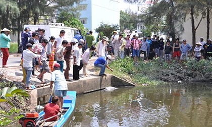 Đi câu cá, phát hiện thi thể đang phân hủy trong rừng dừa