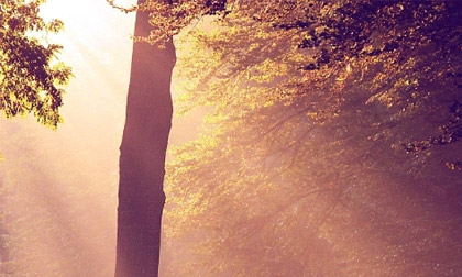 Thứ Ba của bạn (25/2)