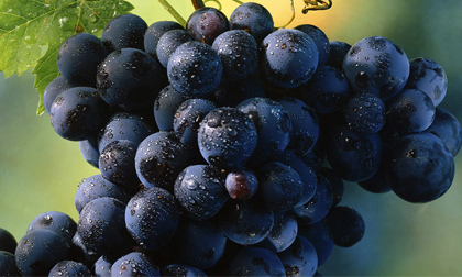 Loại quả ăn nhiều sẽ giúp vòng 1 to nhanh