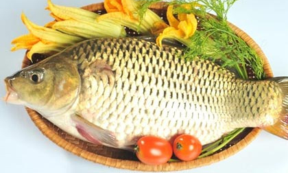 Món ăn, thuốc bổ từ cá chép
