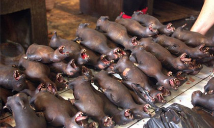 Khu chợ giết mổ động vật khủng khiếp nhất thế giới