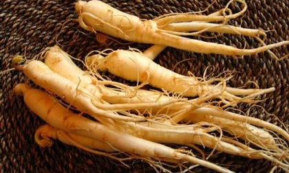 Cách dùng nhân sâm phòng chống bệnh tiểu đường