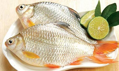 Những lợi ích và lưu ý khi ăn cá